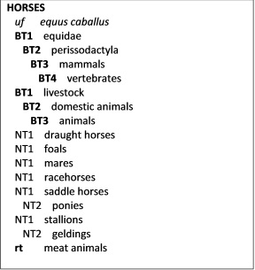 Thesaurus For Ir Ieko